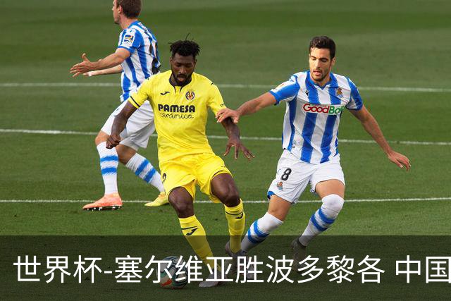 世界杯-塞尔维亚胜波多黎各 中国仍存出线可能